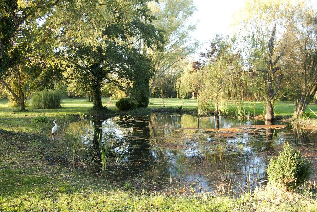 Maison Pres De L'Eau Л'Іль-сюр-ла-Сорг Екстер'єр фото